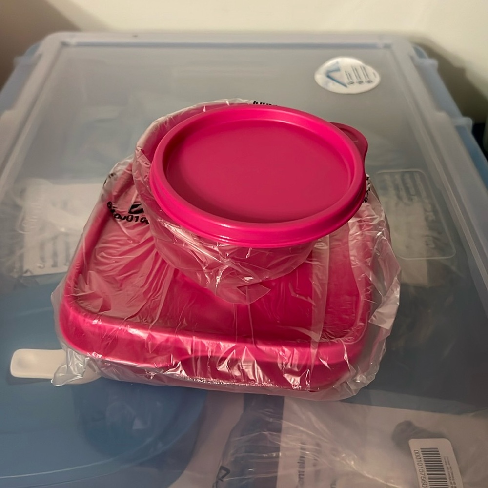 New from Tupperware Perfect lunchbox food storage container